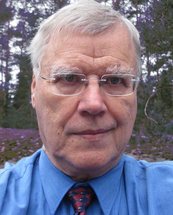 raimoylinen
